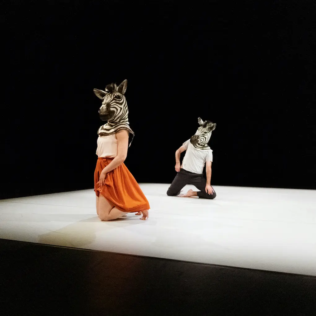 Javier Suárez - l'inconnue - danse jeune public