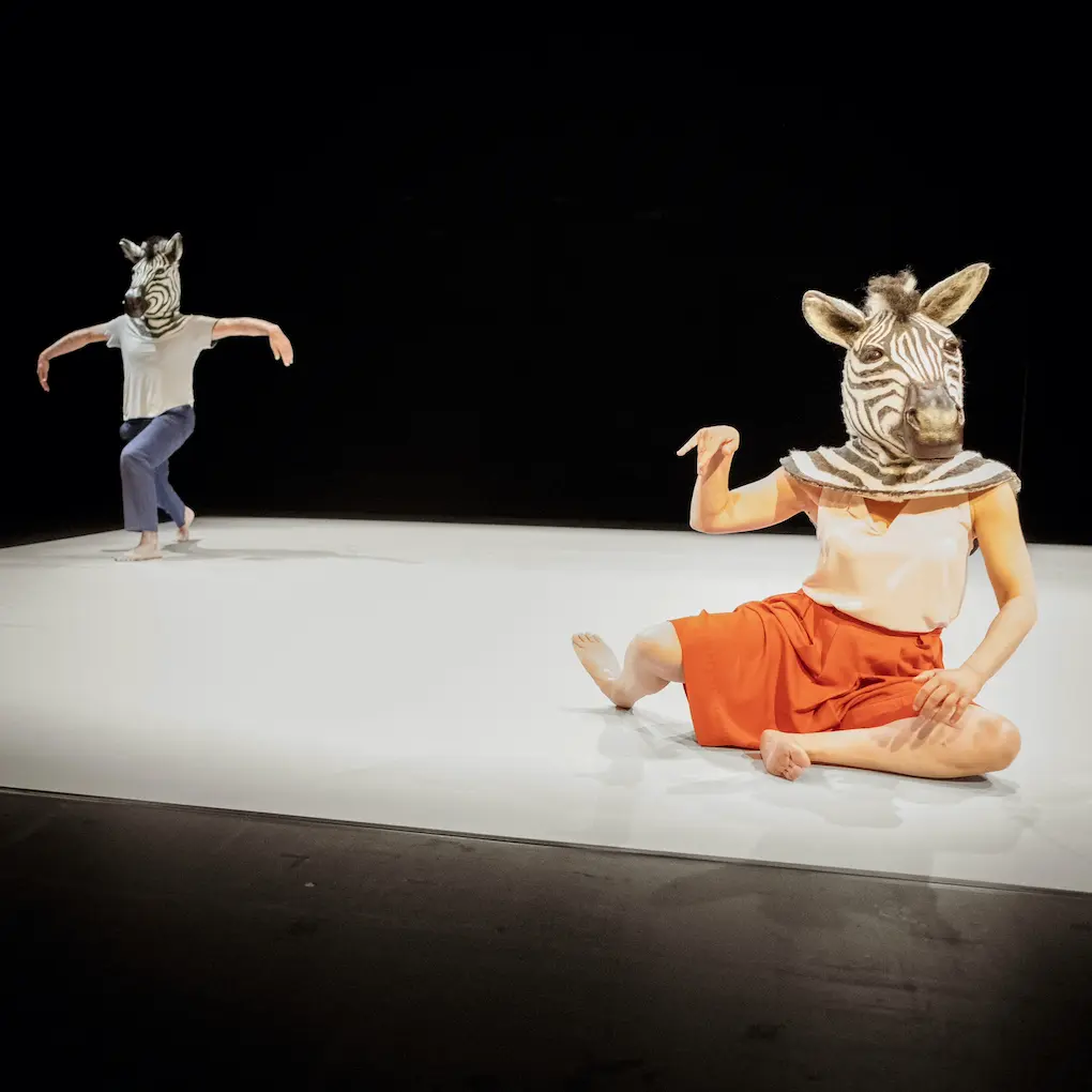 Javier Suárez - l'inconnue - danse jeune public